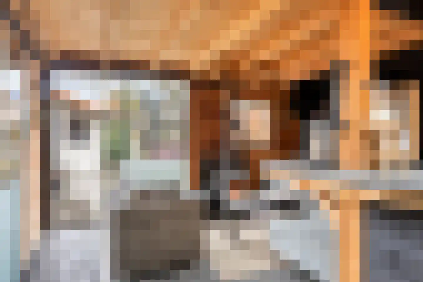 Pimpelmees 32 Sommelsdijk thumbnail 20