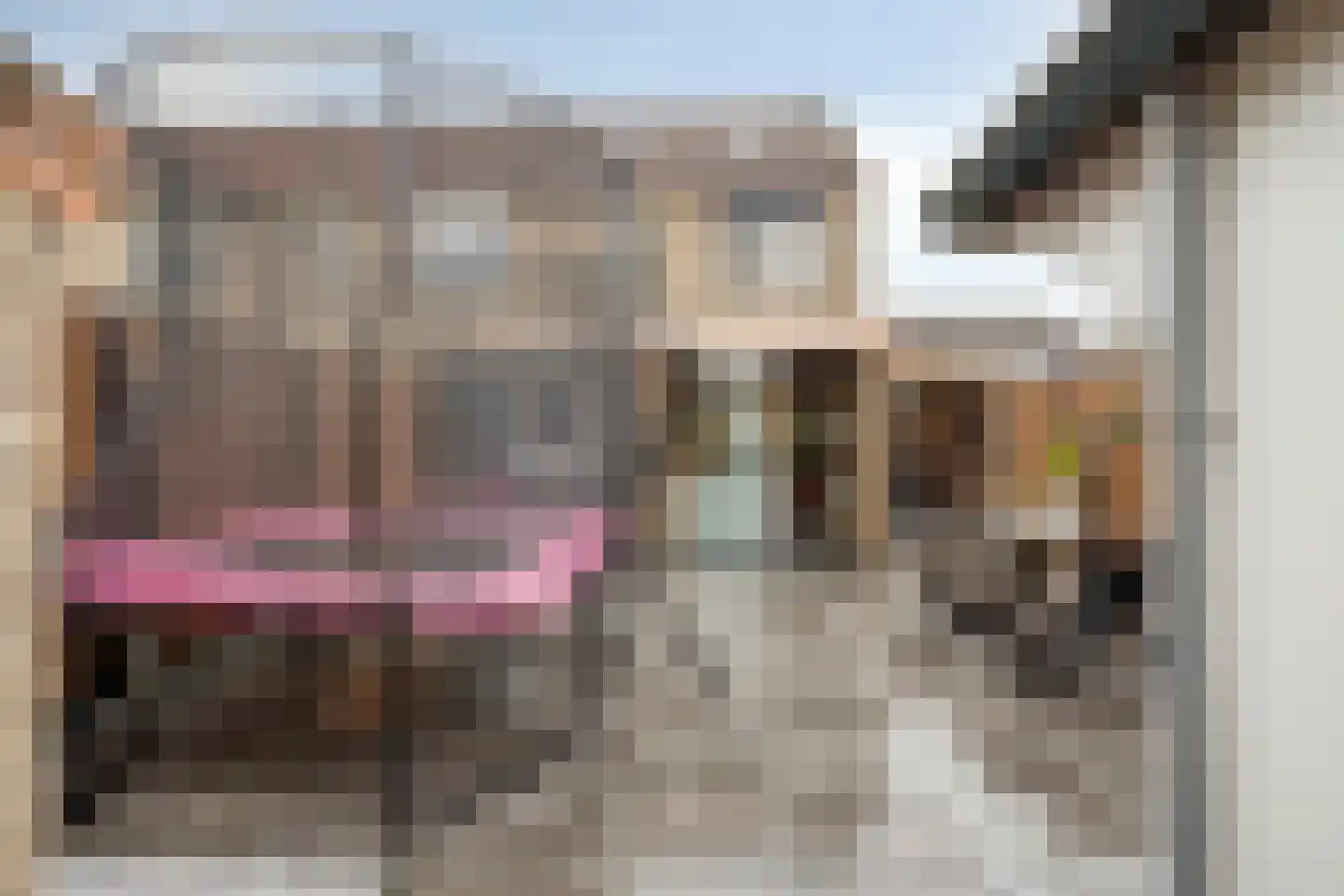 Pimpelmees 32 Sommelsdijk thumbnail 21