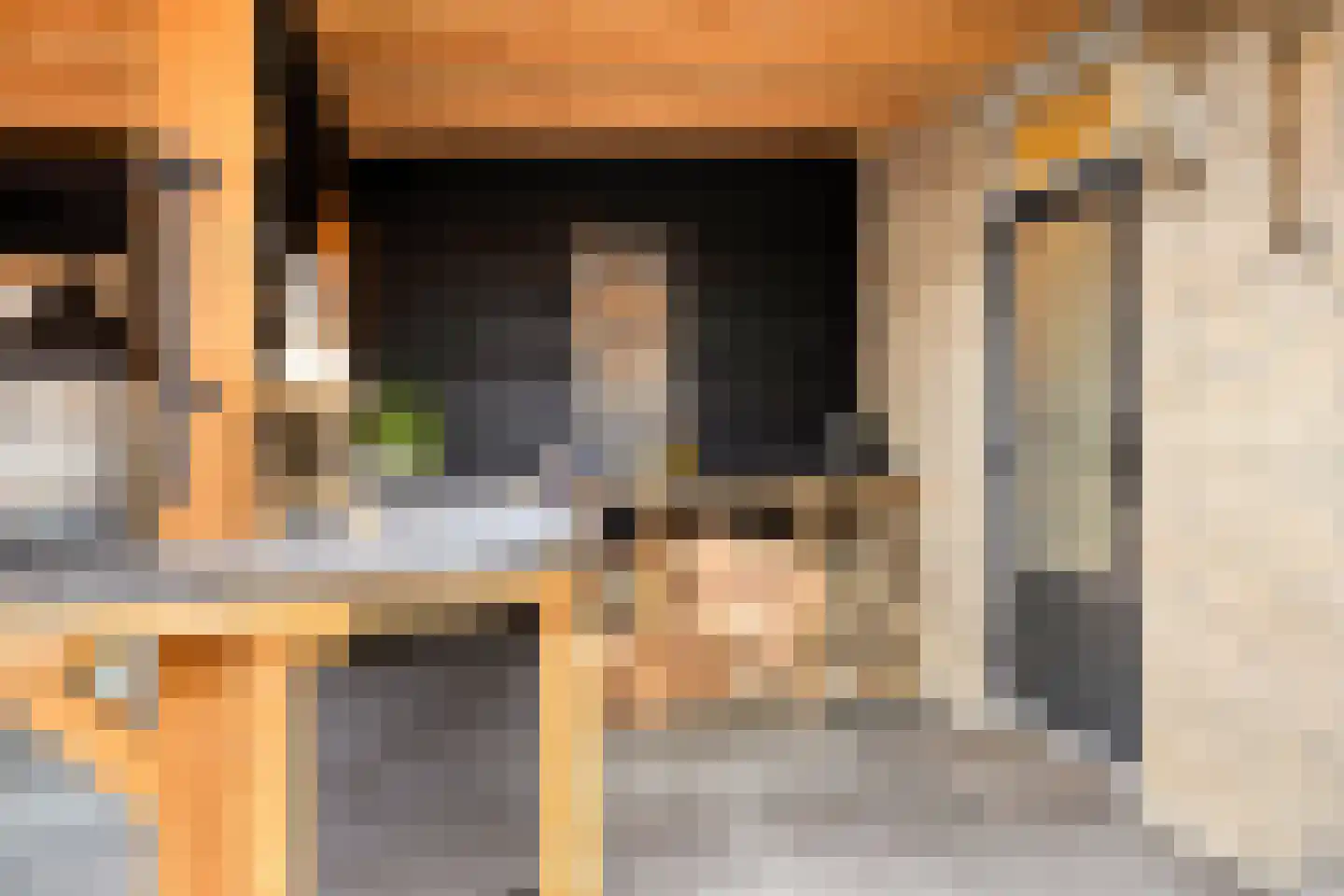 Pimpelmees 32 Sommelsdijk thumbnail 22