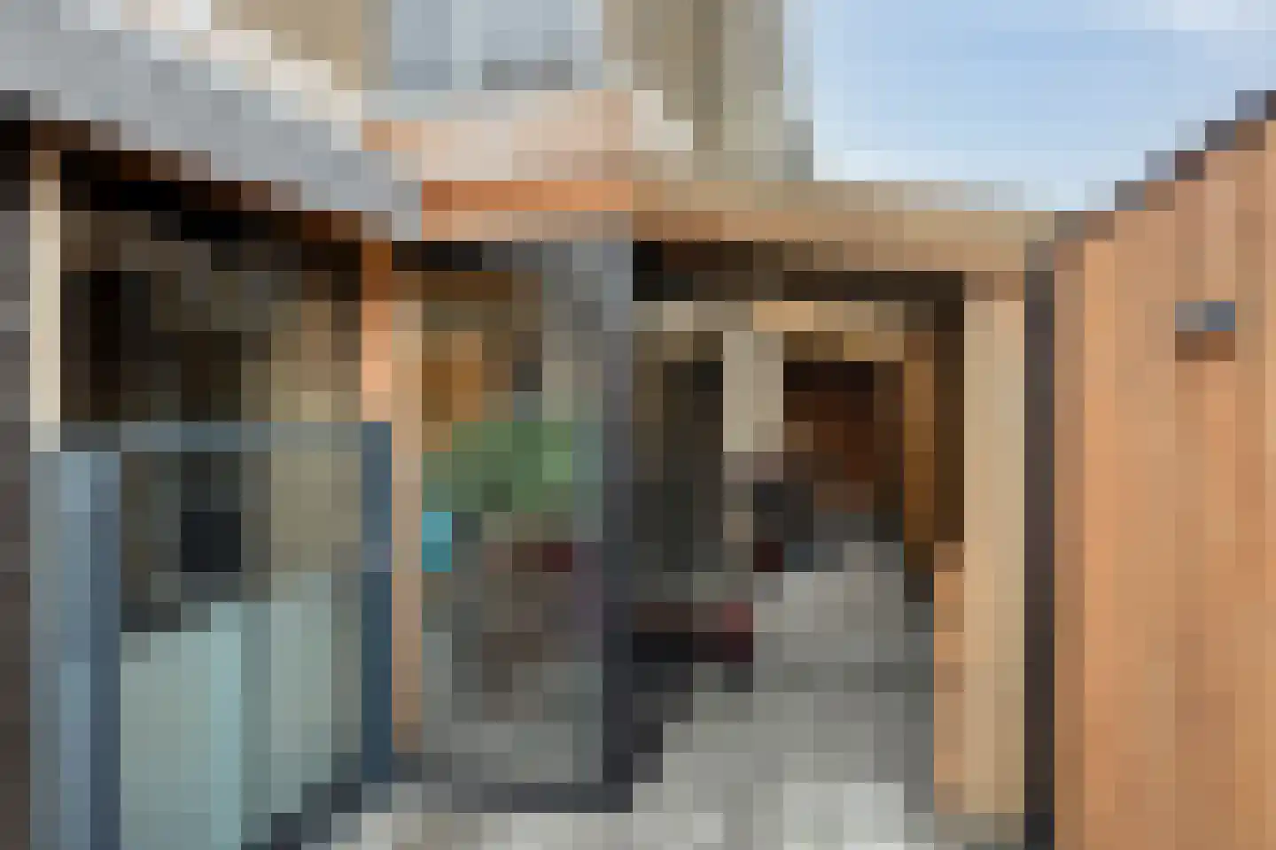 Pimpelmees 32 Sommelsdijk thumbnail 23