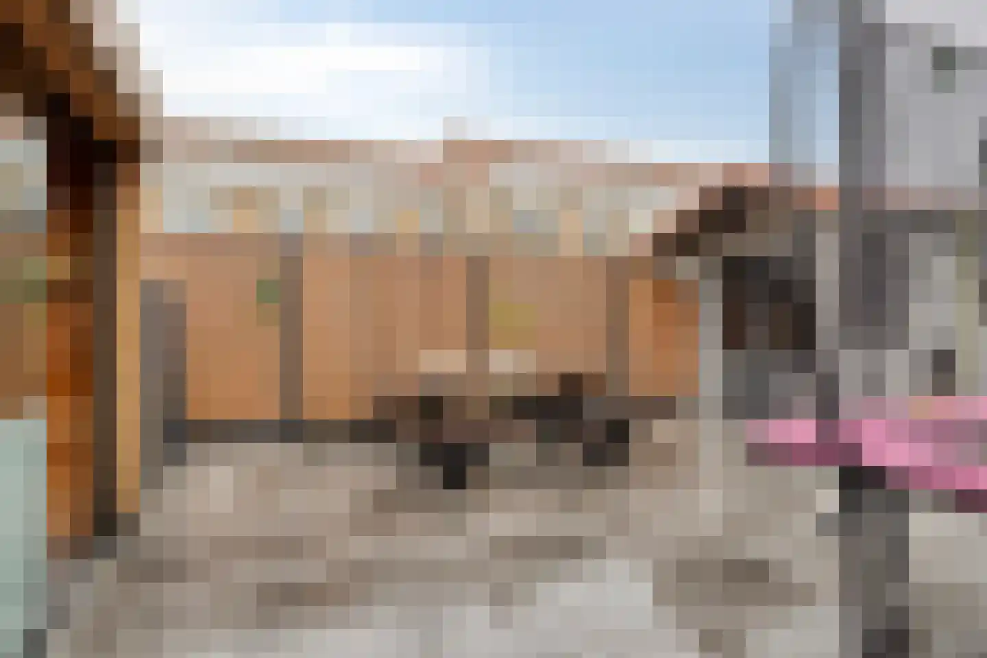 Pimpelmees 32 Sommelsdijk thumbnail 26