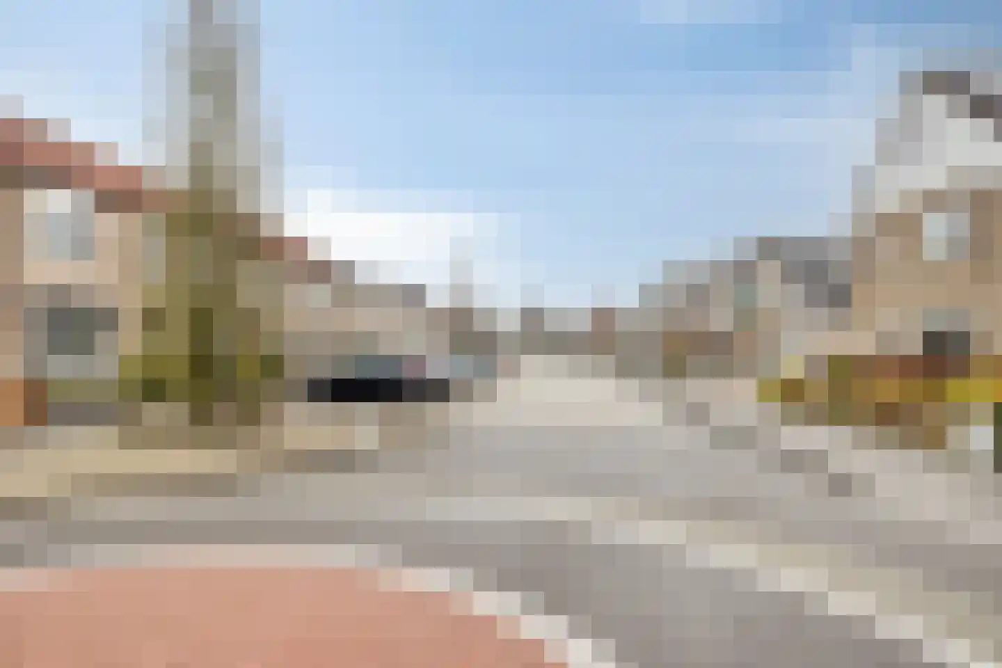 Pimpelmees 32 Sommelsdijk thumbnail 28