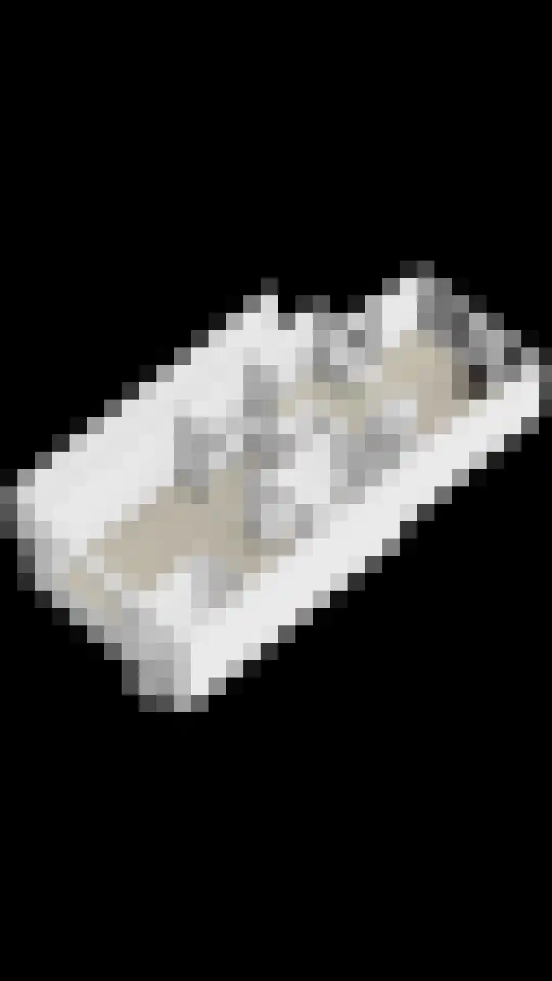 Pimpelmees 32 Sommelsdijk thumbnail 35