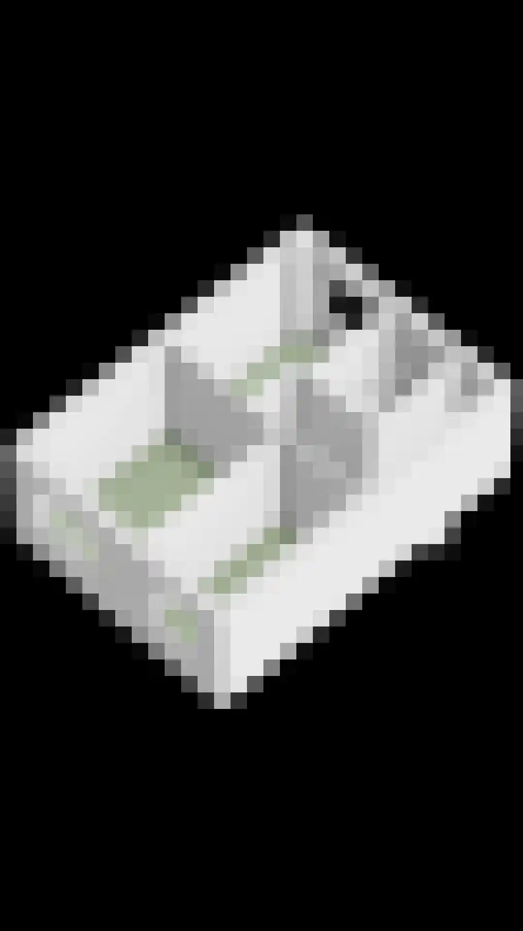 Pimpelmees 32 Sommelsdijk thumbnail 36