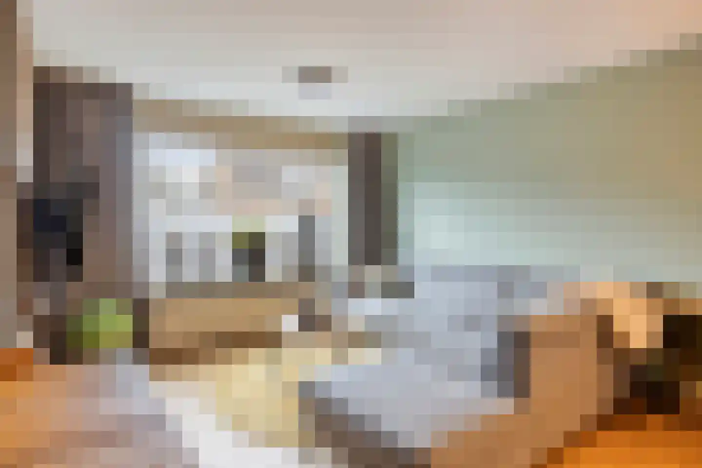 Pimpelmees 32 Sommelsdijk thumbnail 4