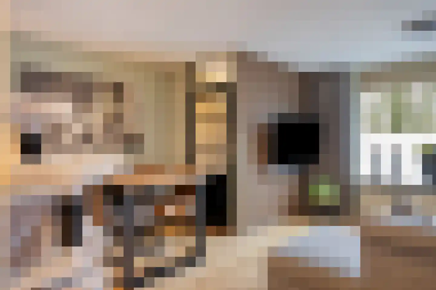 Pimpelmees 32 Sommelsdijk thumbnail 5