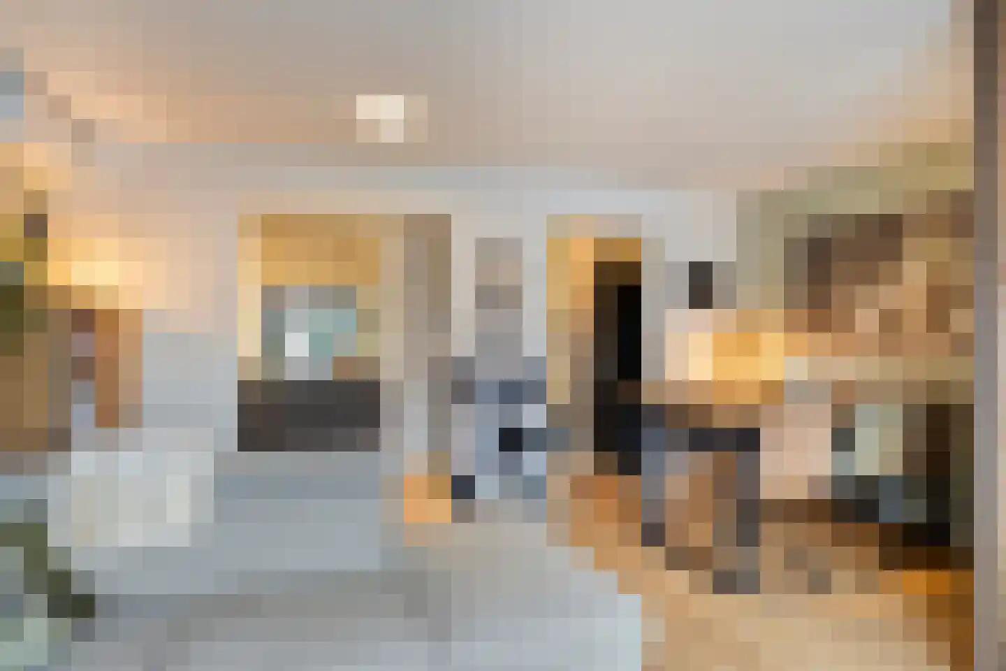 Pimpelmees 32 Sommelsdijk thumbnail 6