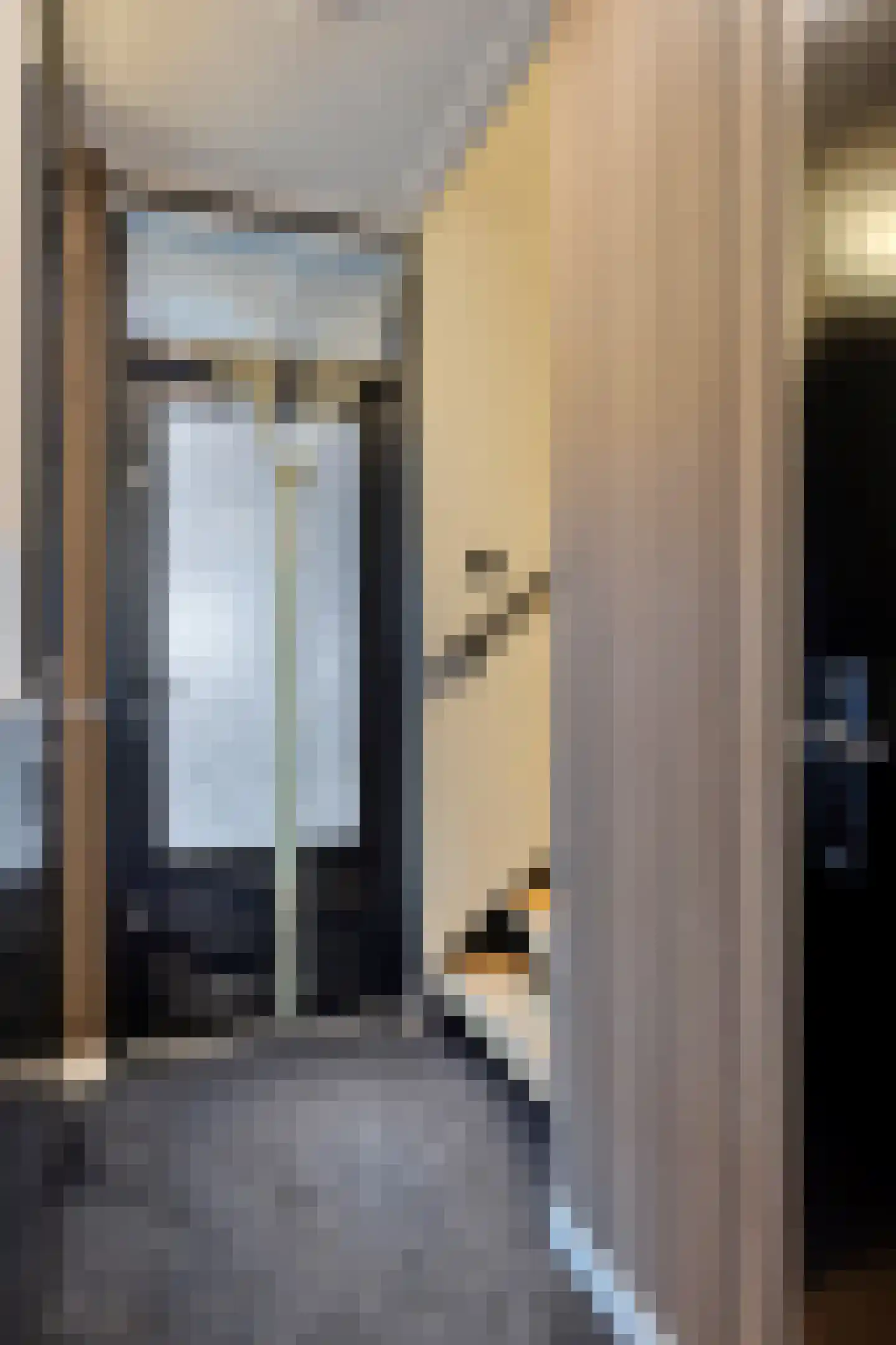 Pimpelmees 32 Sommelsdijk thumbnail 9