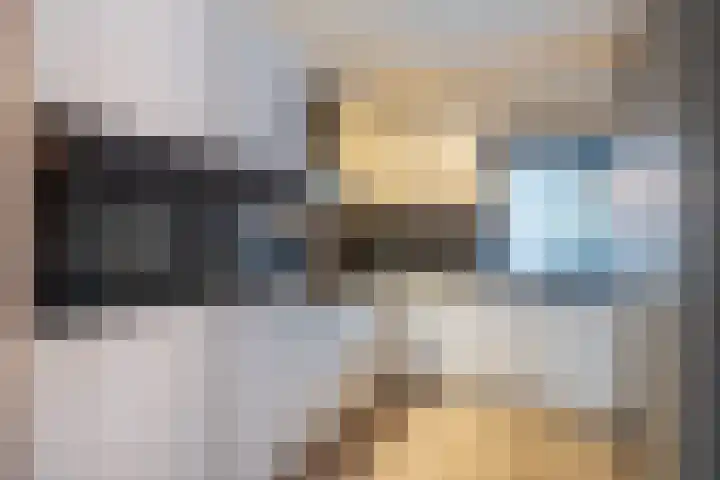 Pimpelmees 5 Nieuwegein thumbnail 10