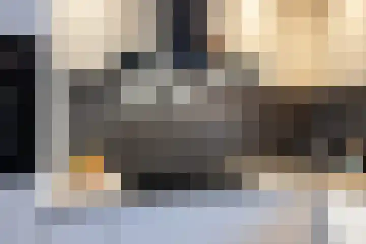 Pimpelmees 5 Nieuwegein thumbnail 11