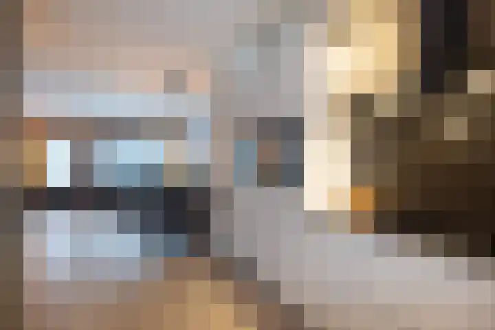 Pimpelmees 5 Nieuwegein thumbnail 13