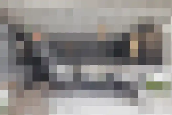 Pimpelmees 5 Nieuwegein thumbnail 15