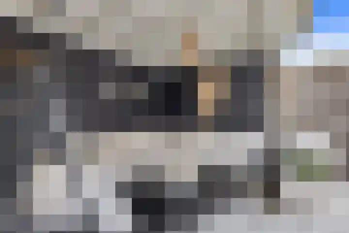 Pimpelmees 5 Nieuwegein thumbnail 16