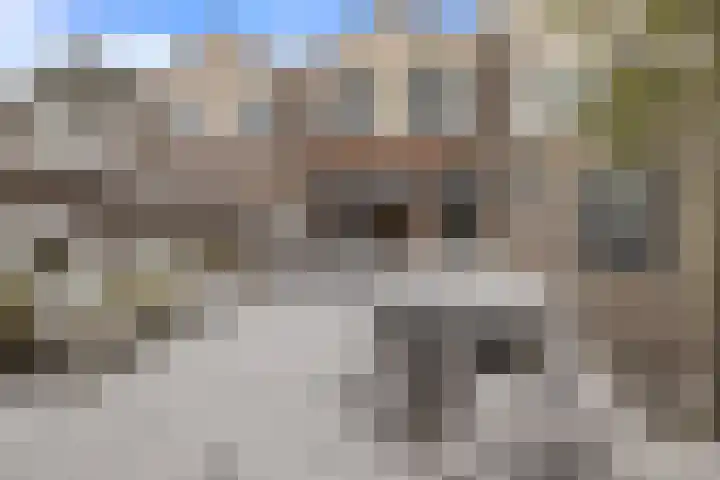 Pimpelmees 5 Nieuwegein thumbnail 17