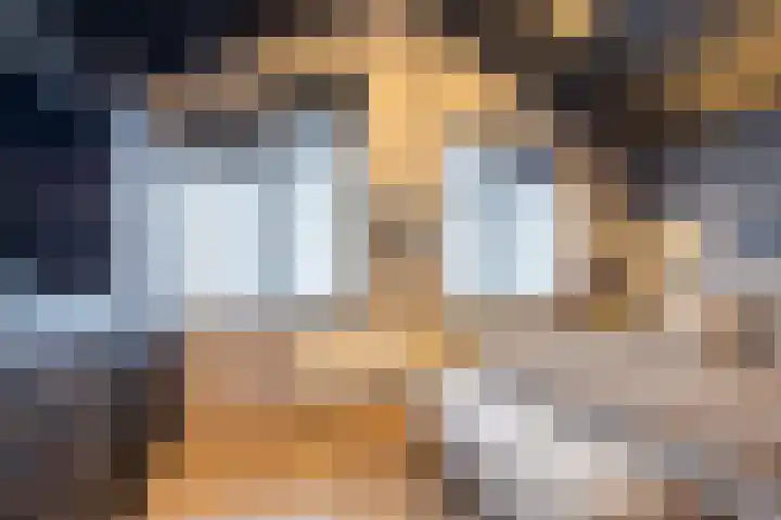 Pimpelmees 5 Nieuwegein thumbnail 19