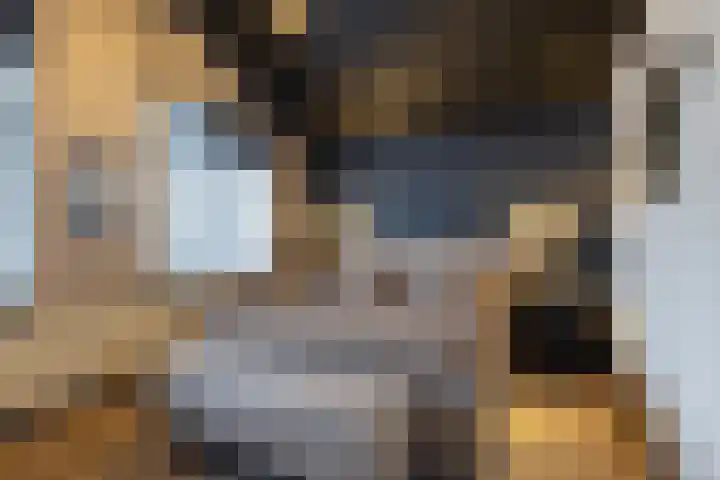Pimpelmees 5 Nieuwegein thumbnail 20