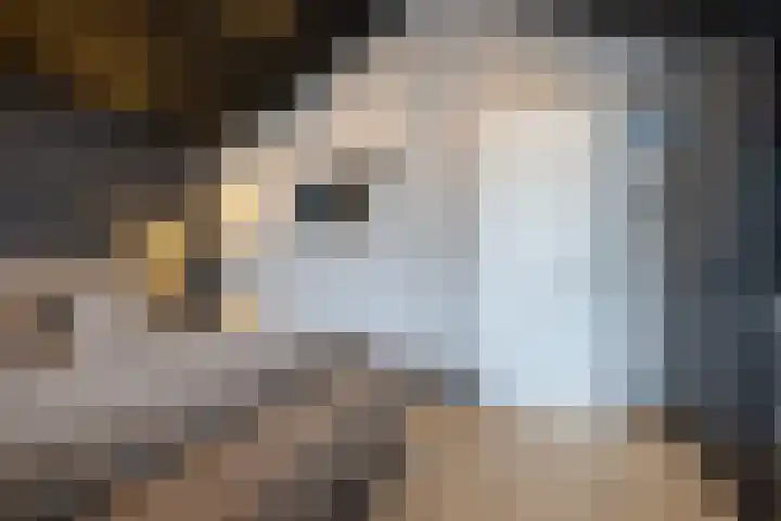 Pimpelmees 5 Nieuwegein thumbnail 21