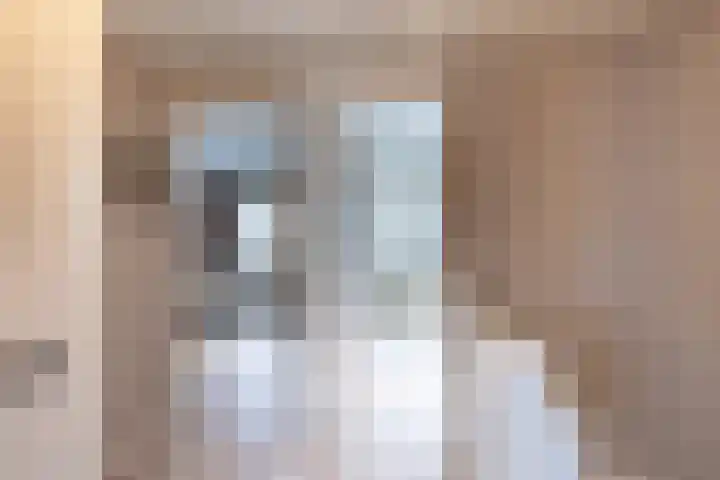 Pimpelmees 5 Nieuwegein thumbnail 22