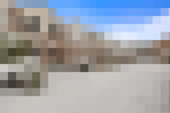 Pimpelmees 5 Nieuwegein thumbnail 34