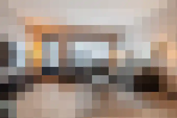 Pimpelmees 5 Nieuwegein thumbnail 4