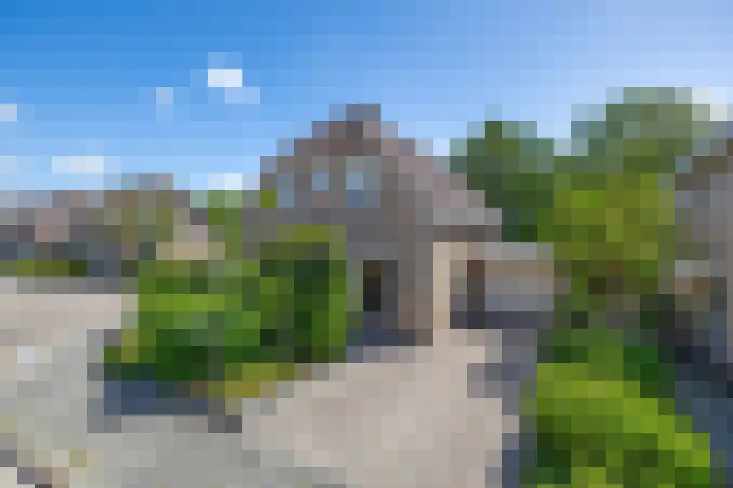 Pimpelmees 55 Sommelsdijk