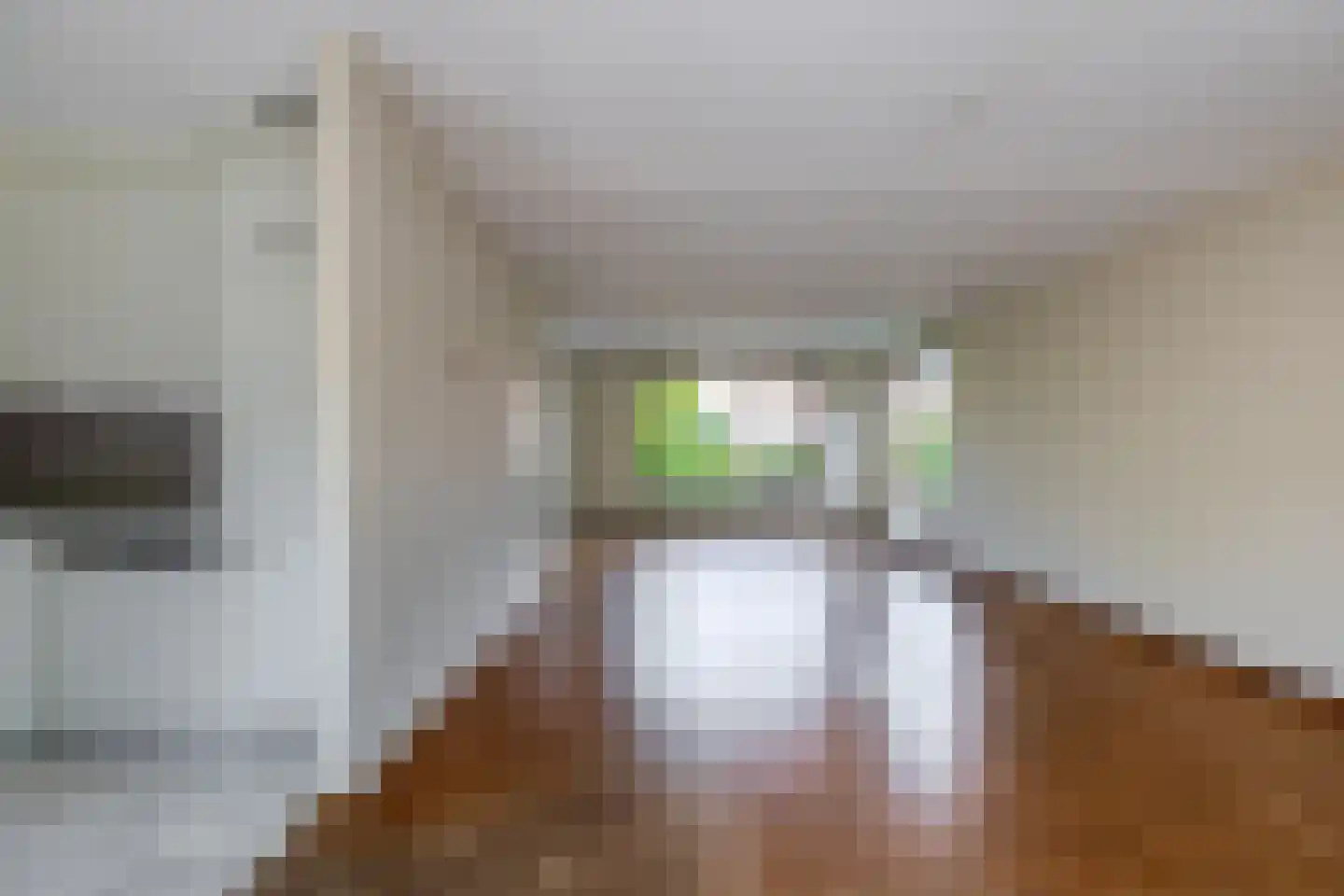 Pimpelmees 55 Sommelsdijk thumbnail 15