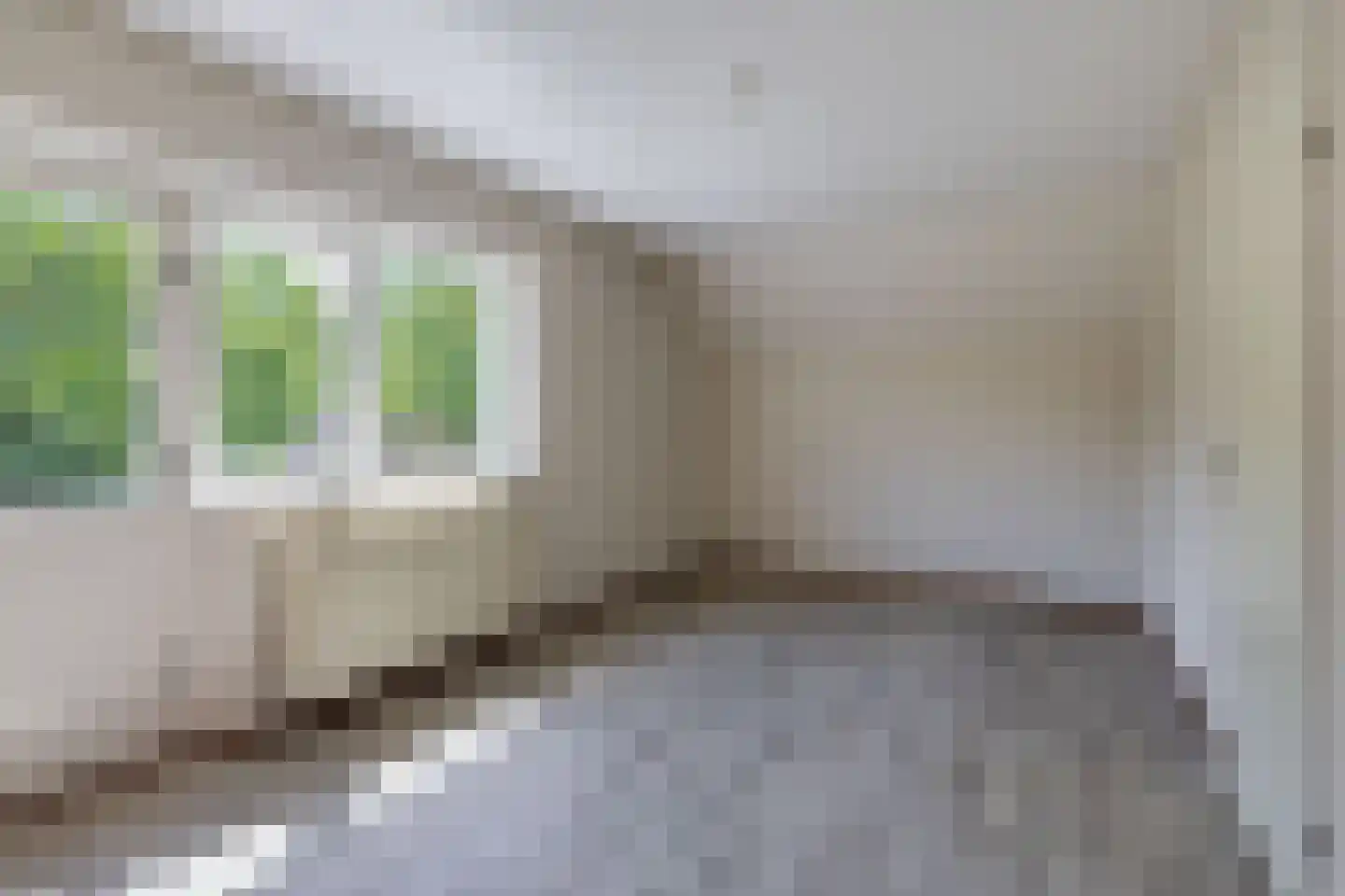 Pimpelmees 55 Sommelsdijk thumbnail 20