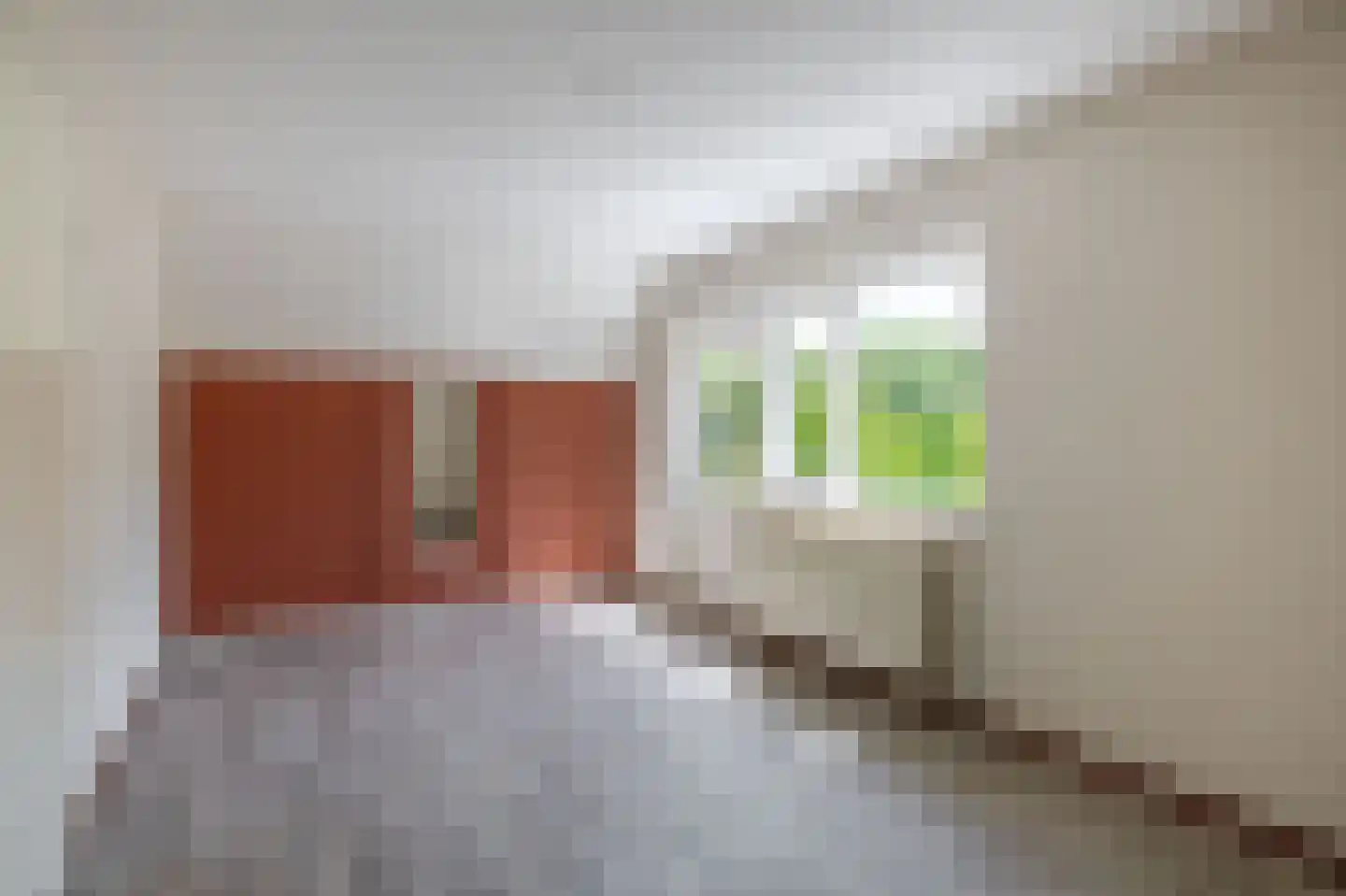 Pimpelmees 55 Sommelsdijk thumbnail 21