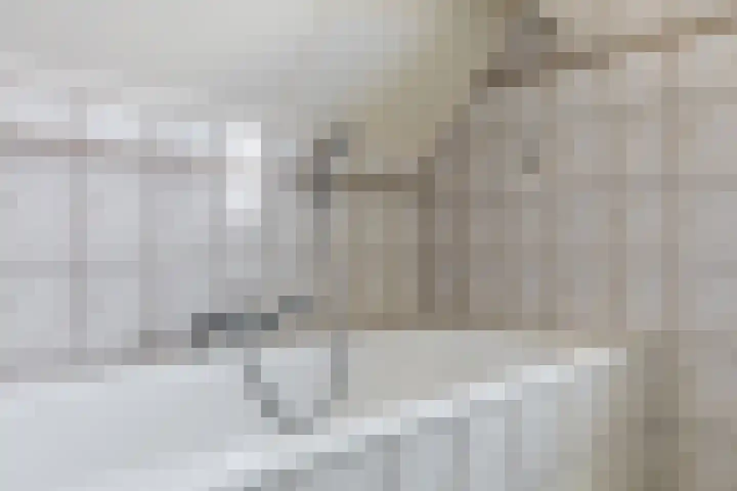 Pimpelmees 55 Sommelsdijk thumbnail 27