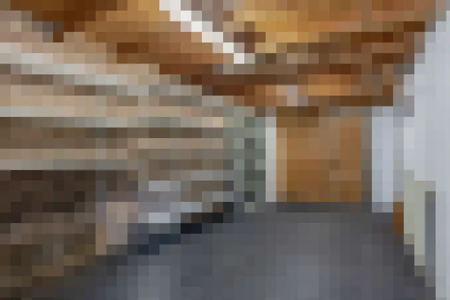 Pimpelmees 55 Sommelsdijk thumbnail 28