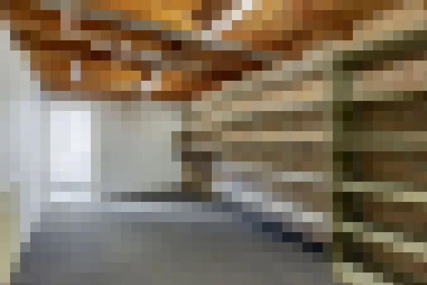 Pimpelmees 55 Sommelsdijk thumbnail 29