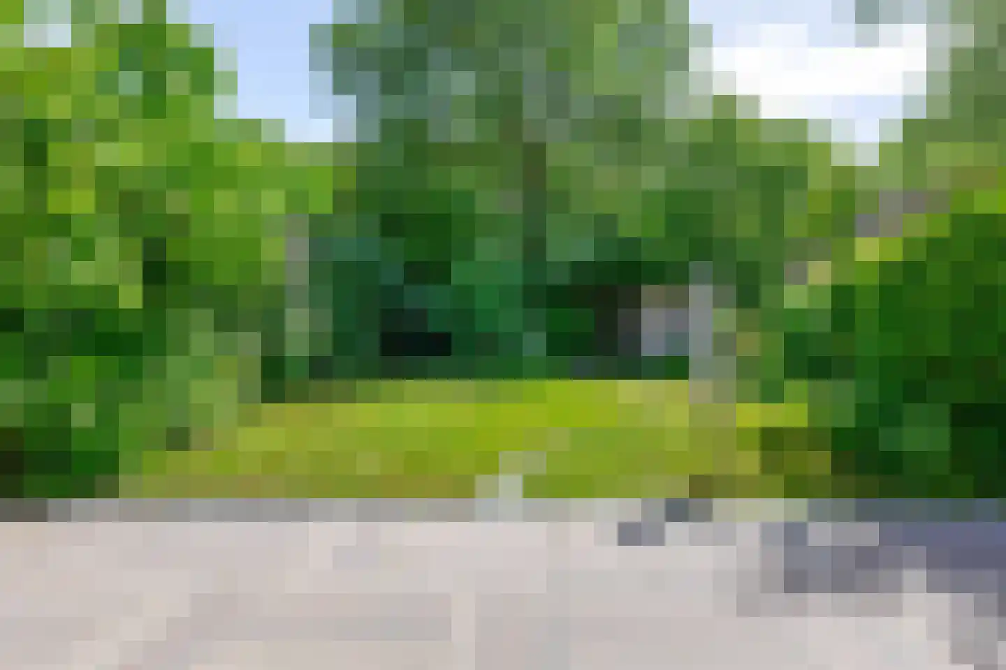Pimpelmees 55 Sommelsdijk thumbnail 31