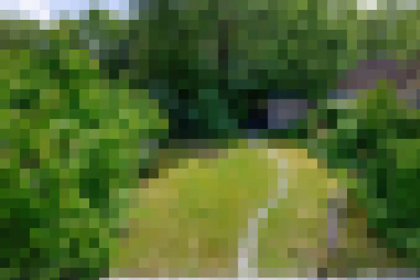 Pimpelmees 55 Sommelsdijk thumbnail 33