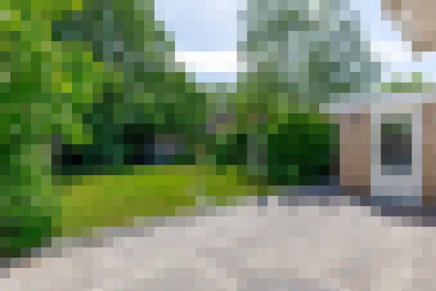 Pimpelmees 55 Sommelsdijk thumbnail 34