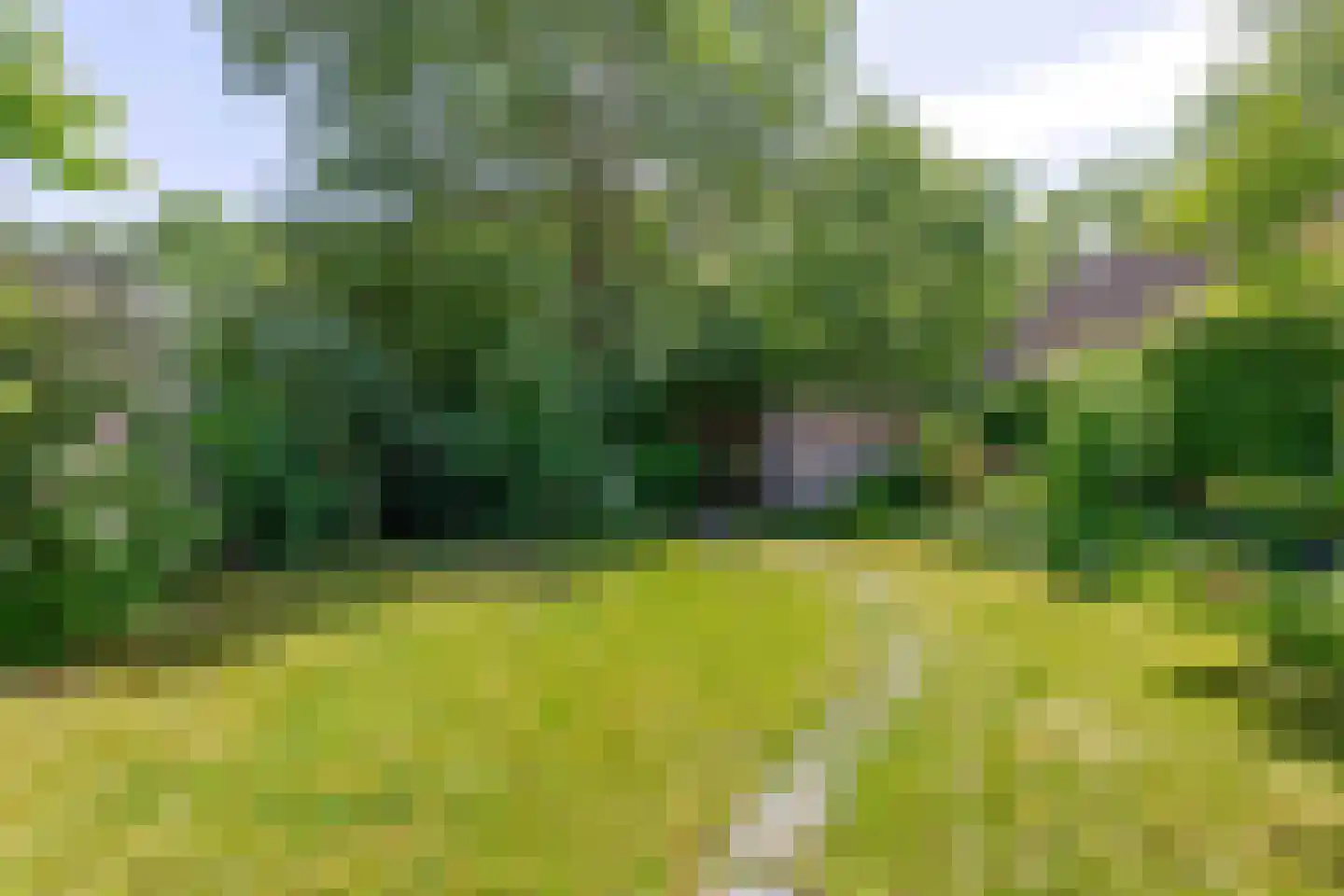 Pimpelmees 55 Sommelsdijk thumbnail 35