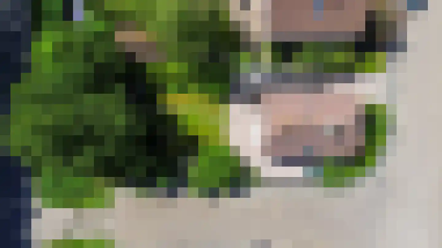 Pimpelmees 55 Sommelsdijk thumbnail 38