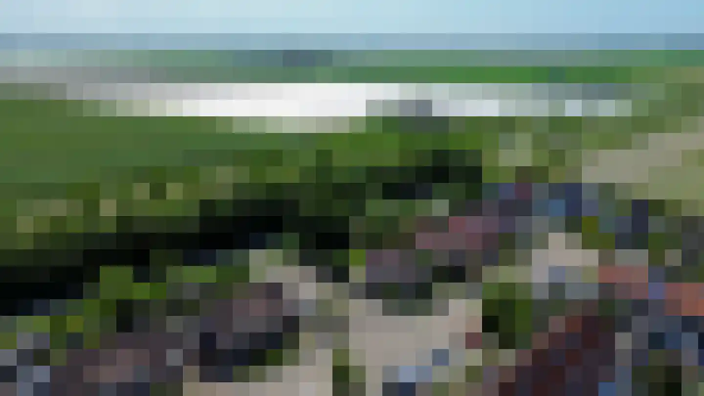 Pimpelmees 55 Sommelsdijk thumbnail 39