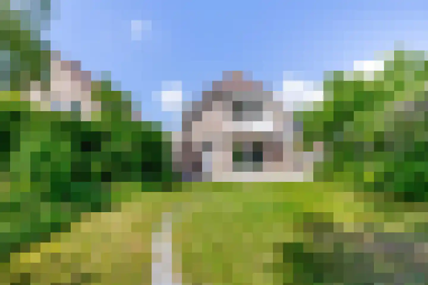 Pimpelmees 55 Sommelsdijk thumbnail 4