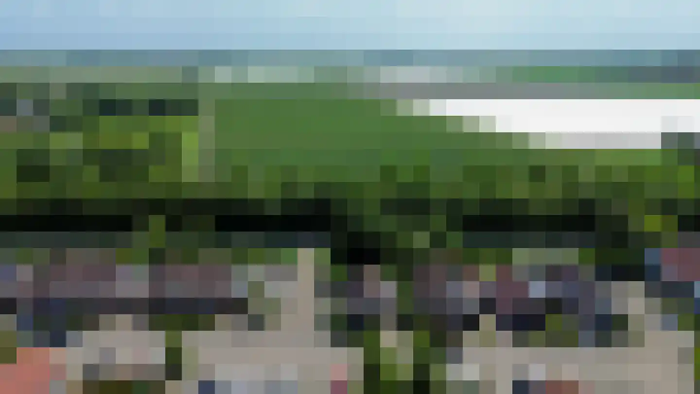 Pimpelmees 55 Sommelsdijk thumbnail 40