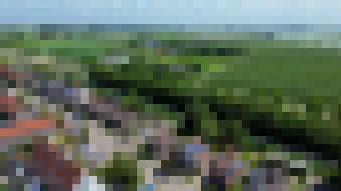 Pimpelmees 55 Sommelsdijk thumbnail 41