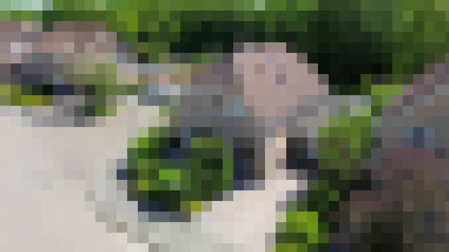 Pimpelmees 55 Sommelsdijk thumbnail 42