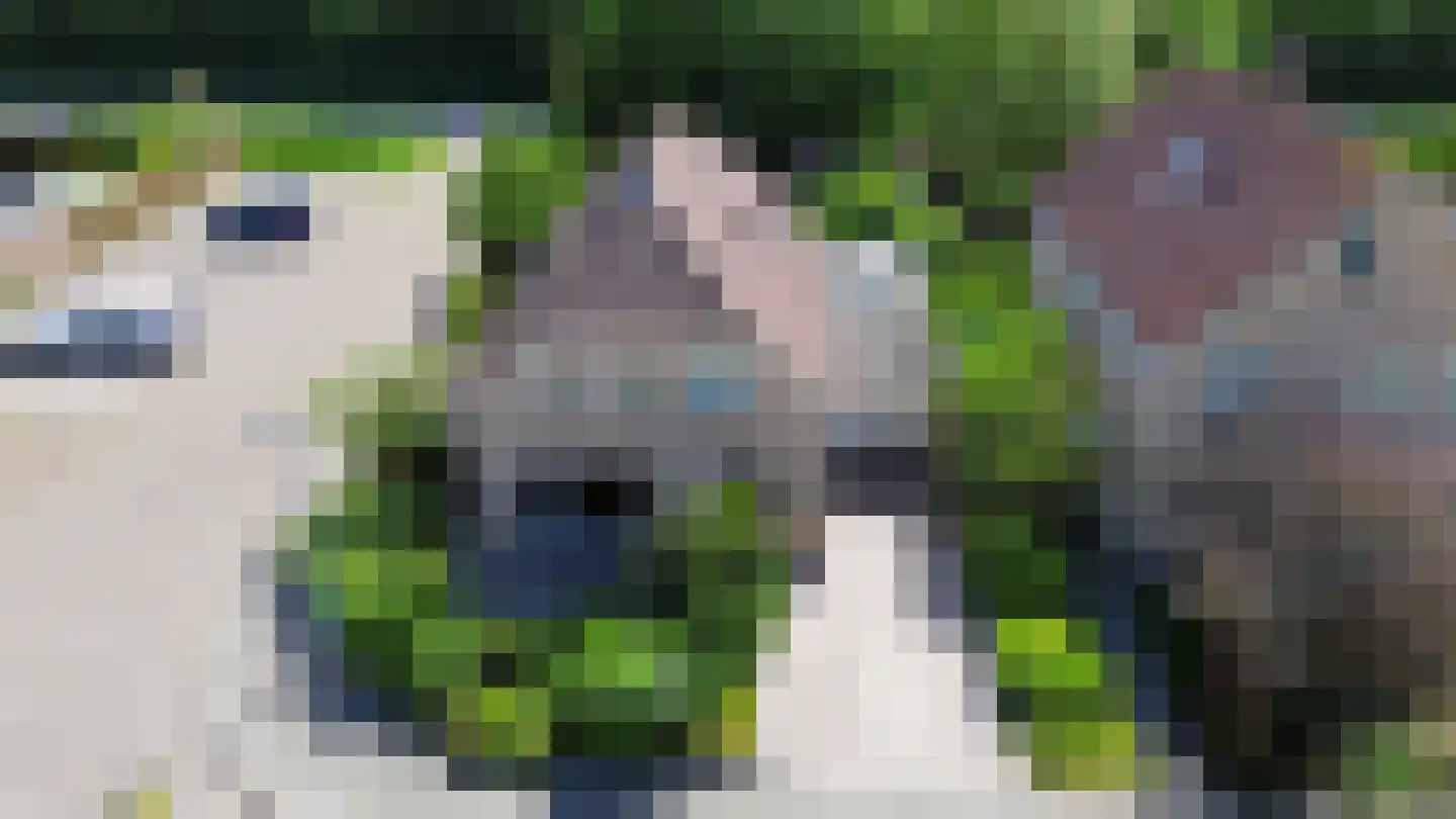 Pimpelmees 55 Sommelsdijk thumbnail 43