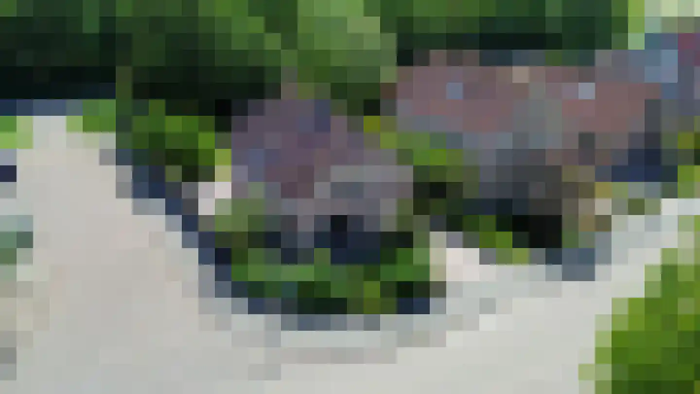 Pimpelmees 55 Sommelsdijk thumbnail 44