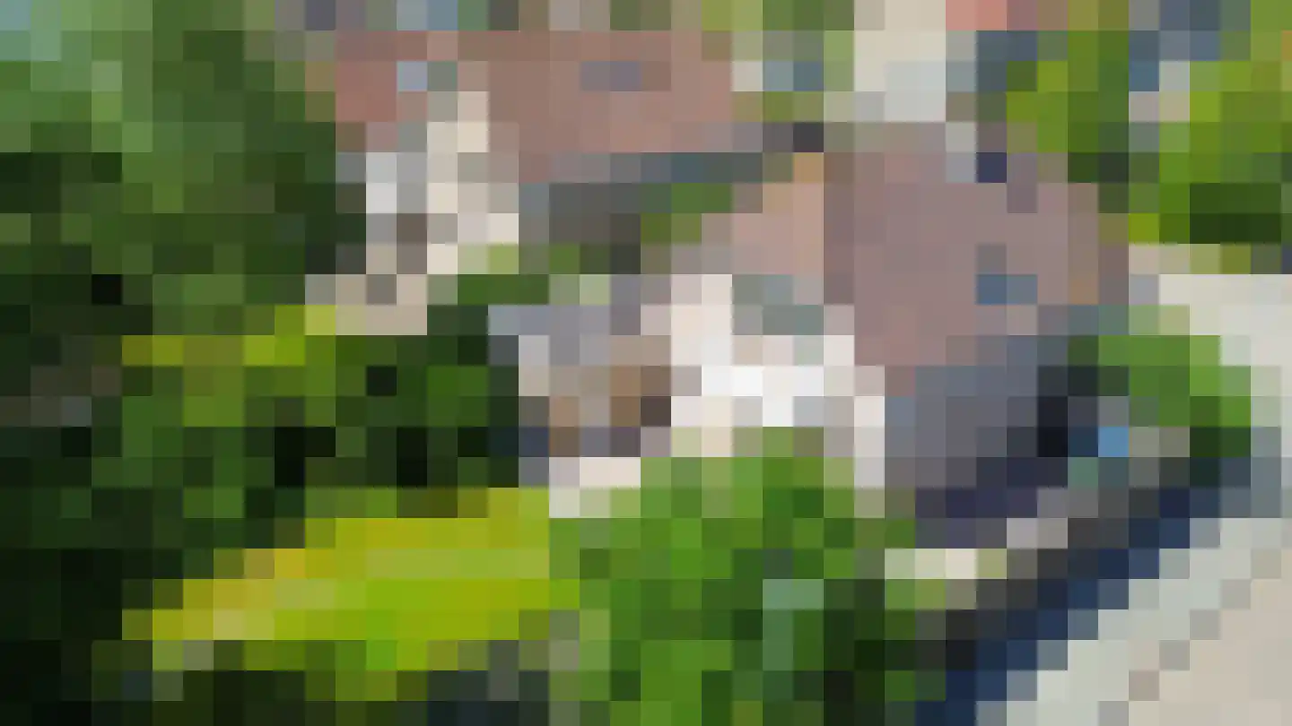 Pimpelmees 55 Sommelsdijk thumbnail 45