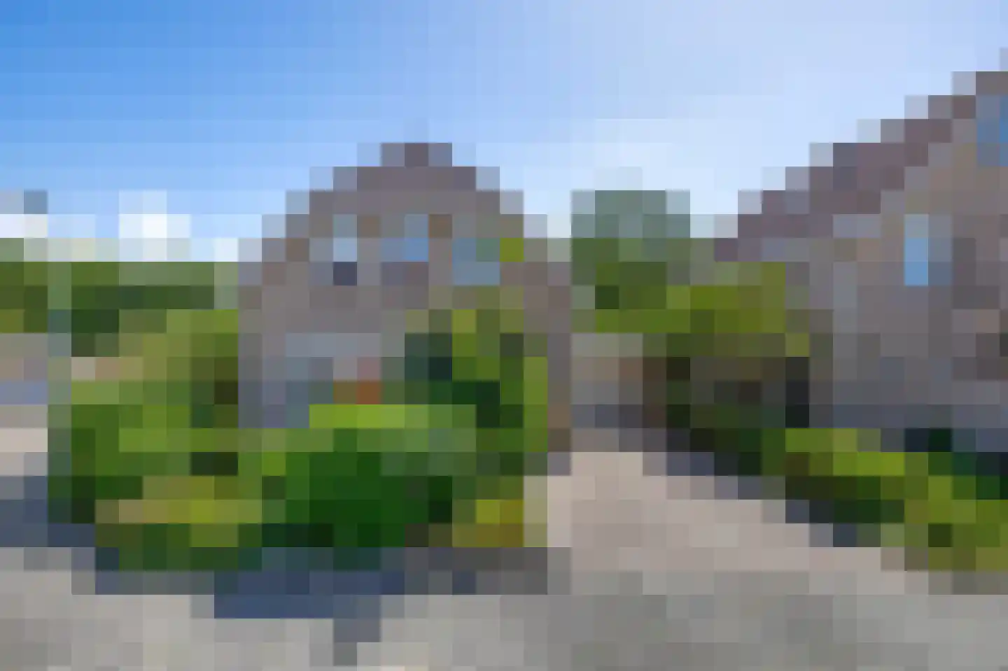 Pimpelmees 55 Sommelsdijk thumbnail 5