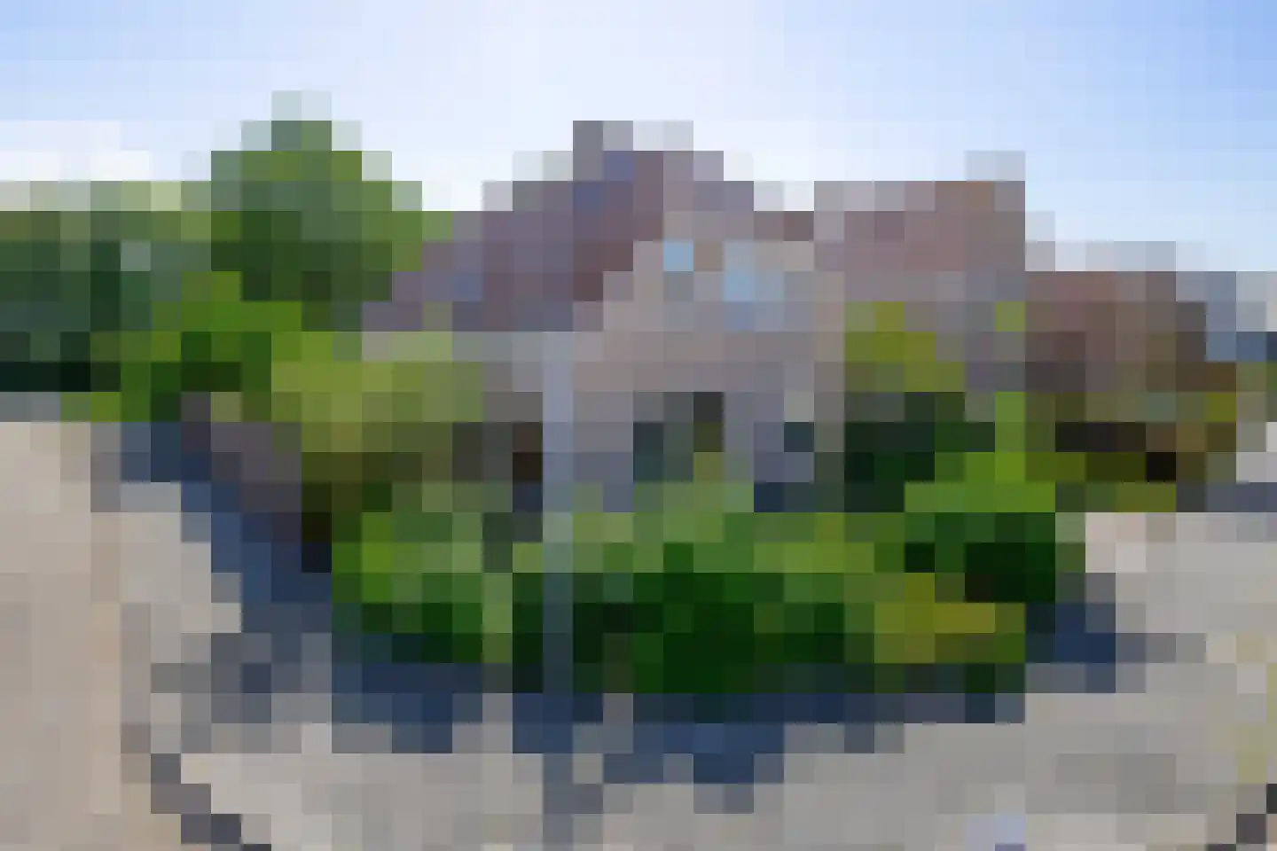 Pimpelmees 55 Sommelsdijk thumbnail 7