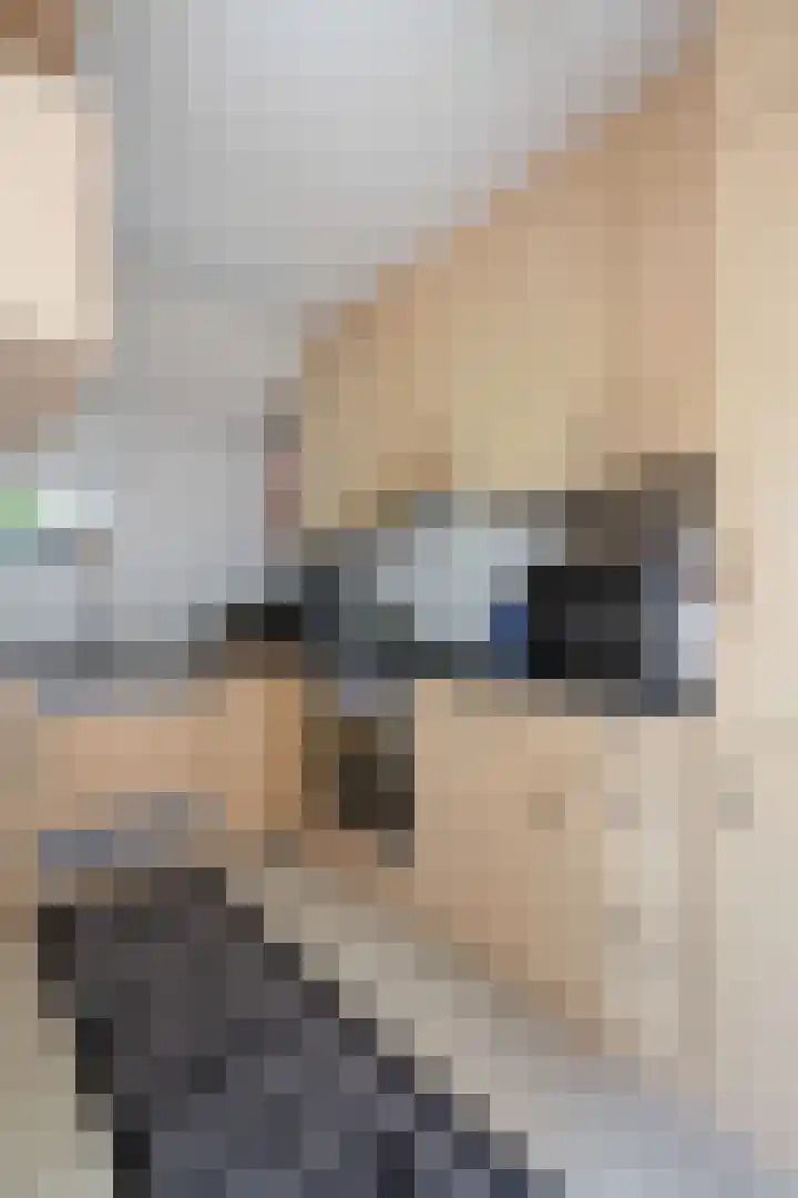 Pimpelmeeshof 23 Weert thumbnail 16