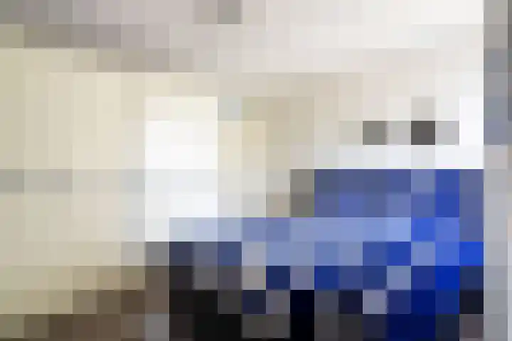 Pimpelmeeshof 23 Weert thumbnail 19