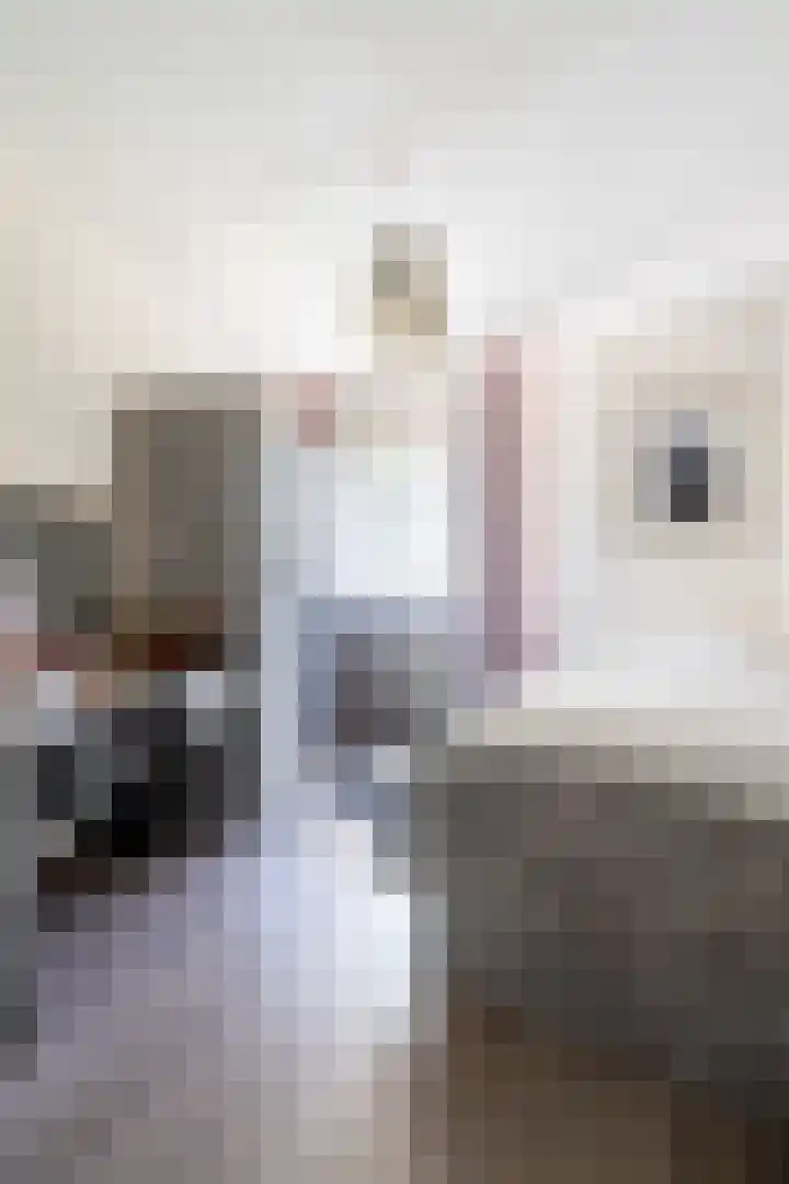 Pimpelmeeshof 23 Weert thumbnail 21