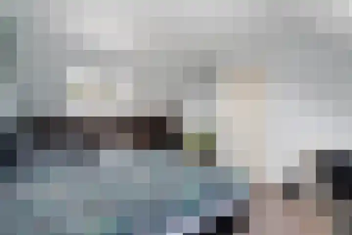 Pimpelmeeshof 23 Weert thumbnail 25